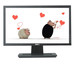 اسعار الشاشات في مصر 2012 Monitors prices