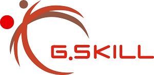 G.Skill products prices in Egypt and store offers and discounts