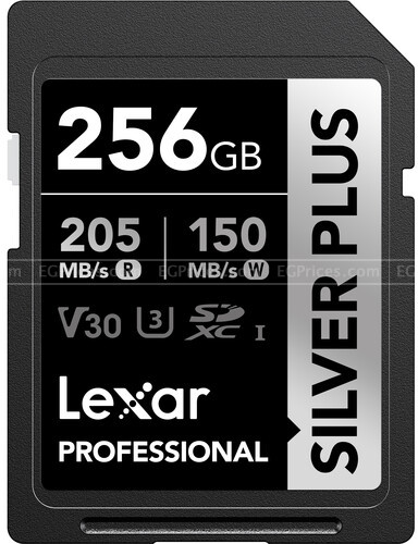 zoom image for Professional Silver Plus 256GB Memory Card