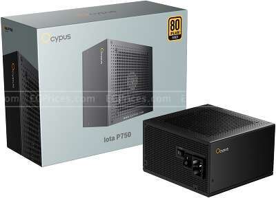 zoom image for Iota P750 80 PLUS Gold Power Supply