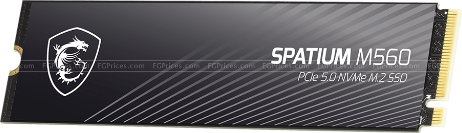 zoom image for SPATIUM M560 1TB PCIe 5.0 NVMe M.2 SSD