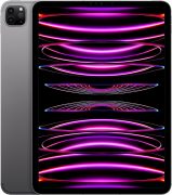 ipad pro m2 11 inch cellular