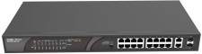 Ruijie RG-ES118S-LP 16-port 10/100Mbps Desktop Unmanaged Switch in Egypt