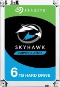 Seagate SkyHawk surveillance 6TB SATA III Internal HDD ST6000VX001 in Egypt