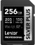 Professional Silver Plus 256GB Memory Card